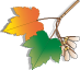 Trädgårdsteamet i Skåne AB logotyp