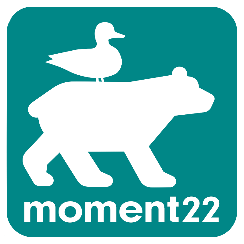 Moment 22 Film o Video AB logotyp