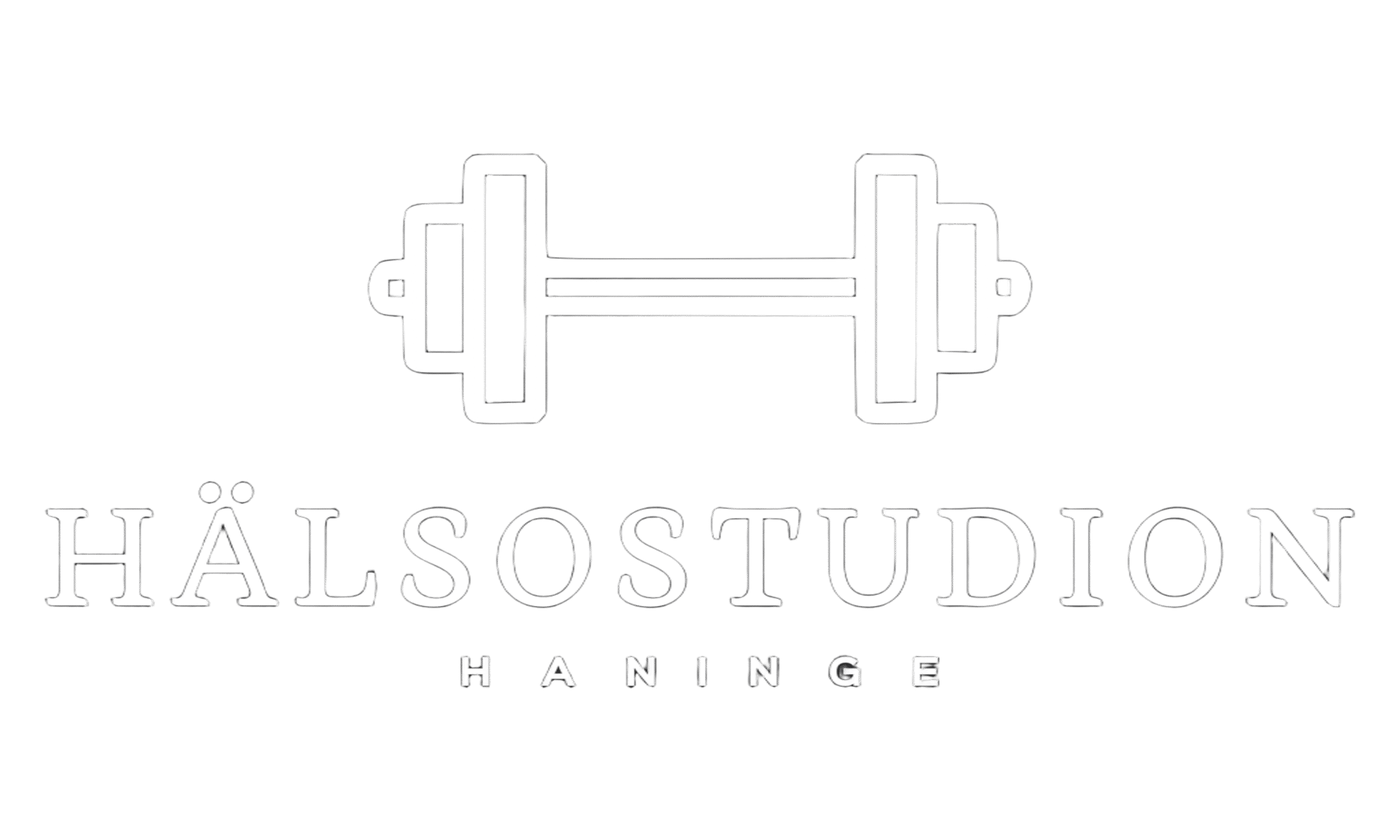 Haninge Hälsostudio AB logotyp