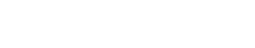 Deneb Software Engineering AB logotyp