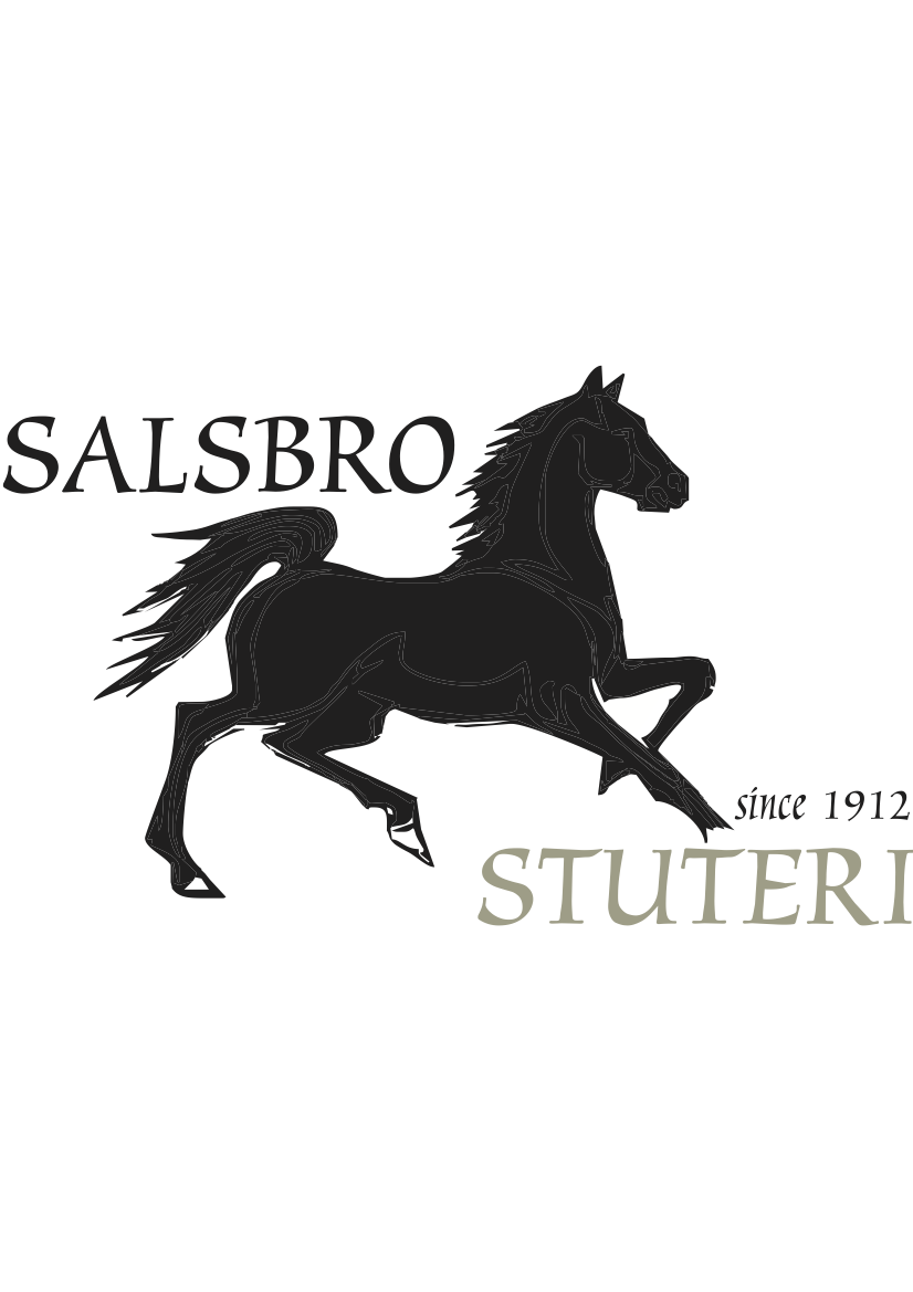 Salsbro AB logotyp