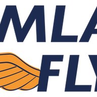 Wermlandsflyg AB logotyp