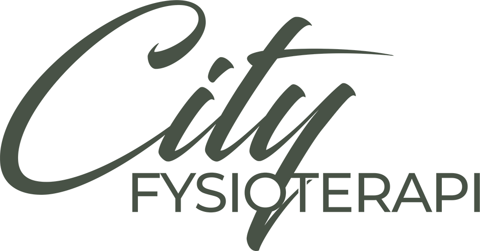 City Fysioterapi i Östersund AB logotyp