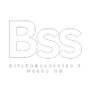 Bilskadeservice i Nacka Aktiebolag logotyp