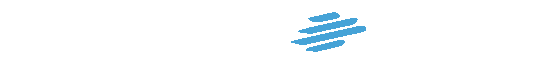 New Group Göteborg AB logotyp
