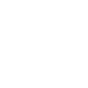 Brightstar Lottery Sweden AB logotyp