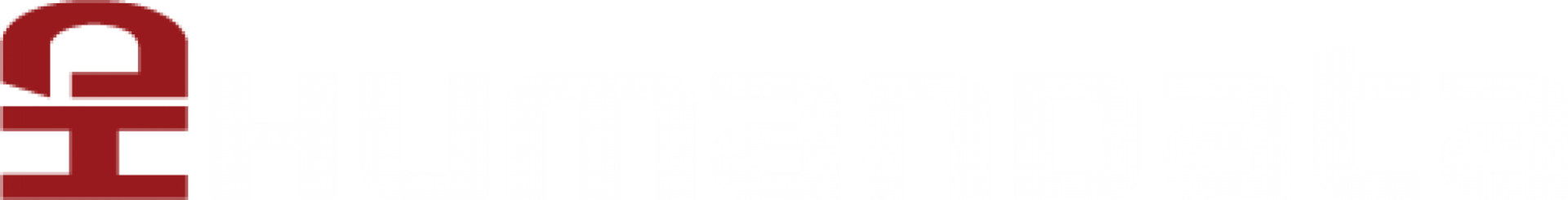 Humandata Inventus AB logotyp