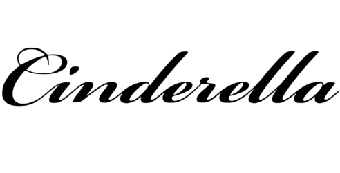 Brud- och festbutiken i Piteå AB logotyp