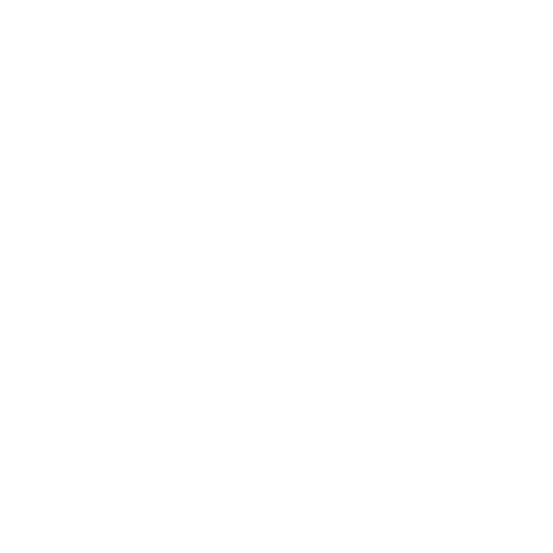 Pegasus Veterinärklinik Aktiebolag logotyp