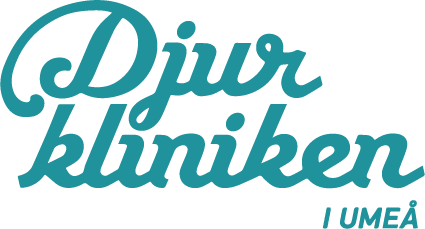 Djurkliniken i Umeå AB logotyp