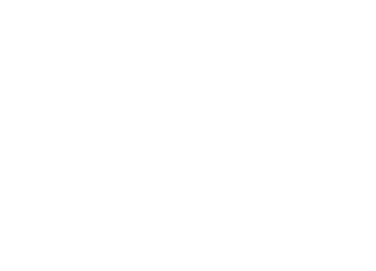 Protiva Säkerhetsteknik AB logotyp