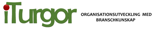 iturgor management AB logotyp