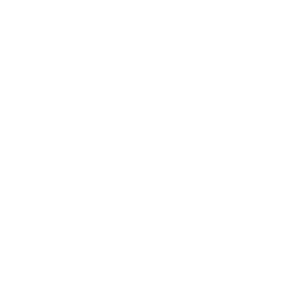 Nya Bildbutiken i Karlshamn AB logotyp