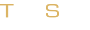 Techsam Electronics Aktiebolag logotyp