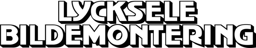 Lycksele Bildemontering AB logotyp