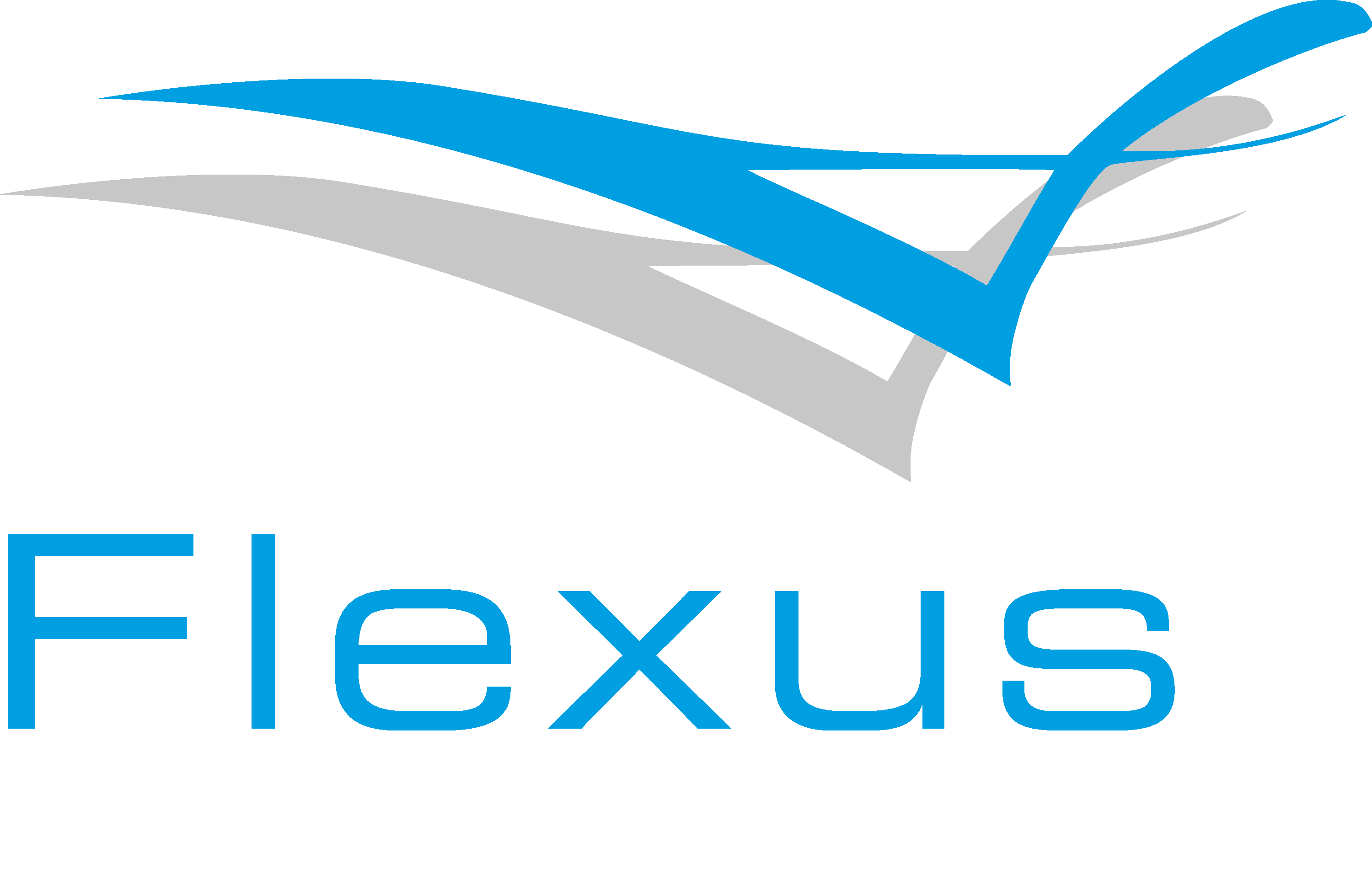 Flexus Balasystem Aktiebolag logotyp