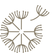 Business Inspiration Sweden AB logotyp
