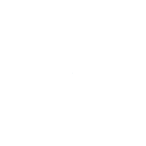 Navilog Solutions AB logotyp