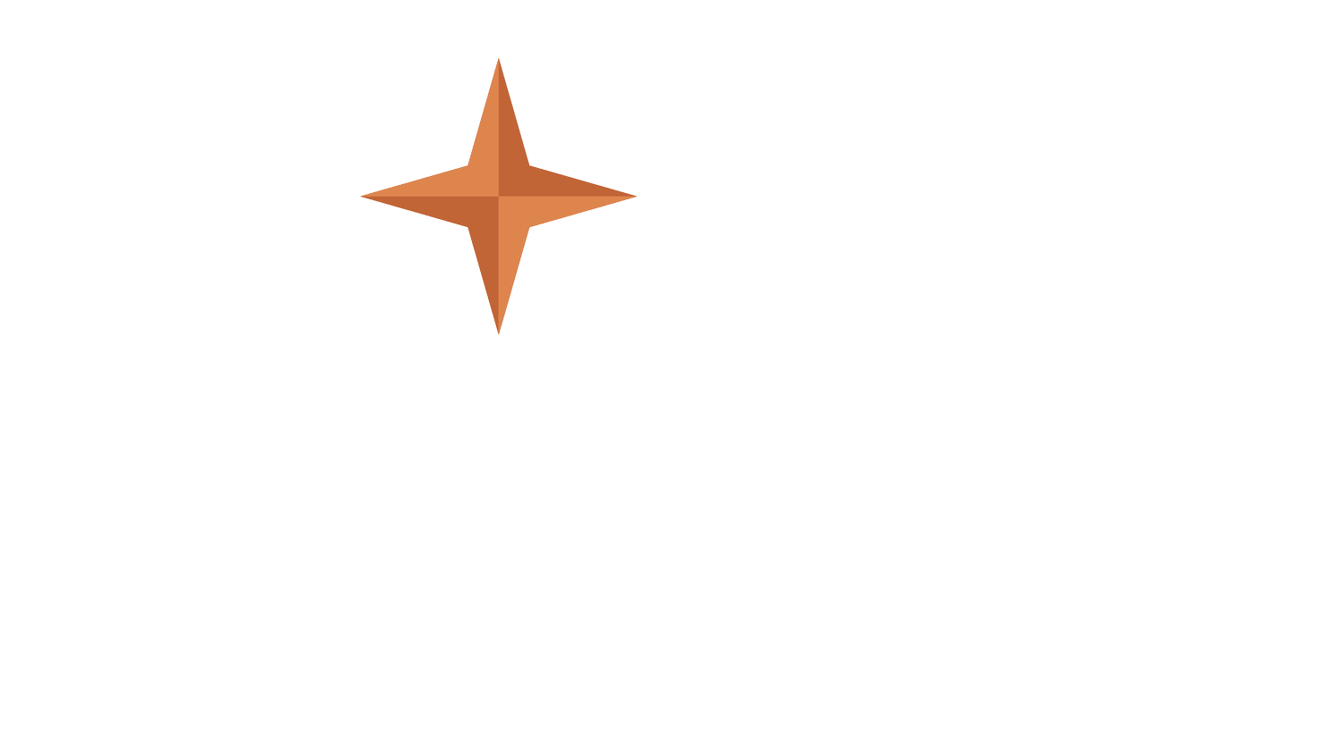 Purity Vodka AB logotyp