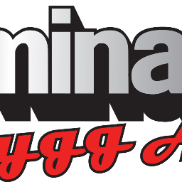 Dominator Bygg AB logotyp