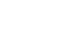 Nordic Service Partners AB logotyp