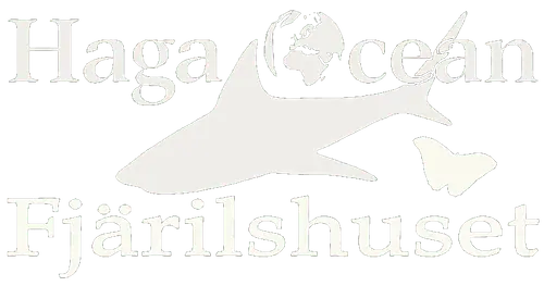 Fjärilshuset Haga Trädgård Café AB logotyp