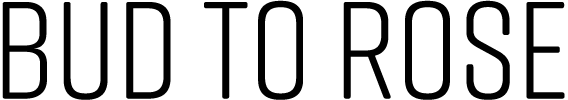 Diddi Camilla Nihlén Design AB logotyp