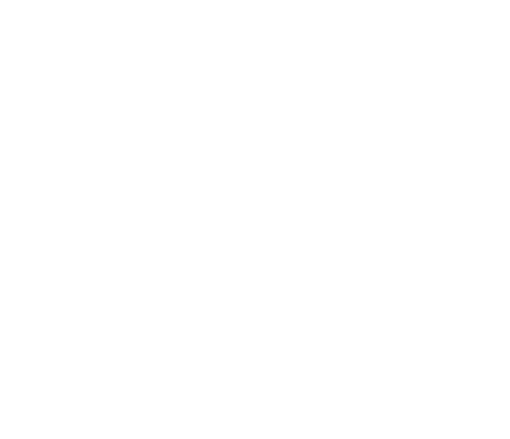 Narr Chocolate AB logotyp