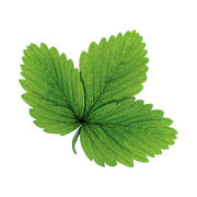 Hasselfors Garden AB logotyp