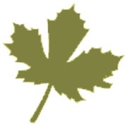 SP Landskapsarkitektbyrå AB logotyp