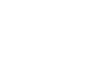 Team Linda Falck AB logotyp