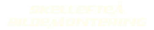 Skellefteå Bildemontering Aktiebolag logotyp