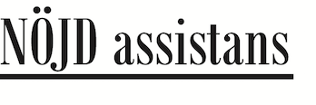 Nöjd Assistans i Stockholm AB logotyp