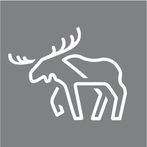Motherland AB logotyp
