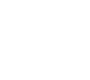 Value not Noise AB logotyp