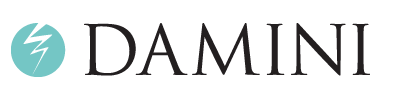 Damini AB logotyp