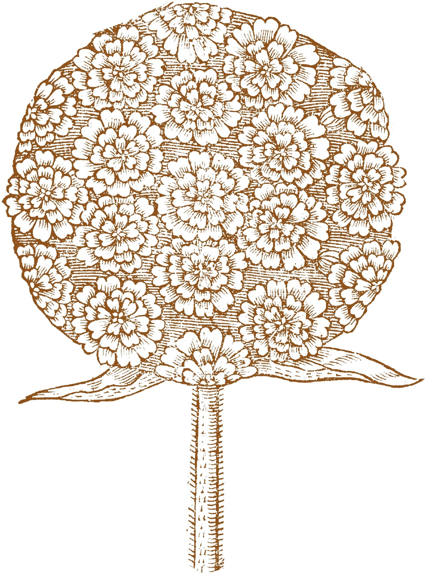 Carocom AB logotyp