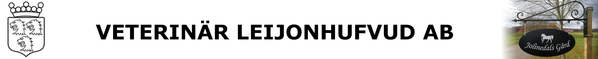 Veterinär Leijonhufvud AB logotyp