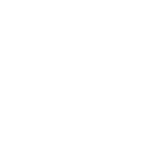 Polbring&Partners AB logotyp