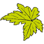 Nya Eriksbo plantskola AB logotyp