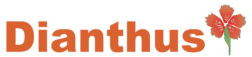 Dianthus AB logotyp