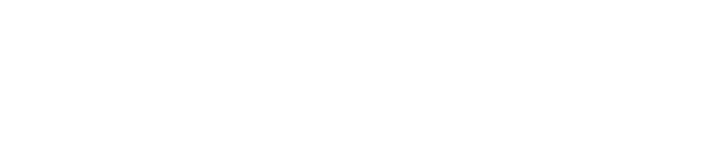 Svenska Neptun Store AB logotyp
