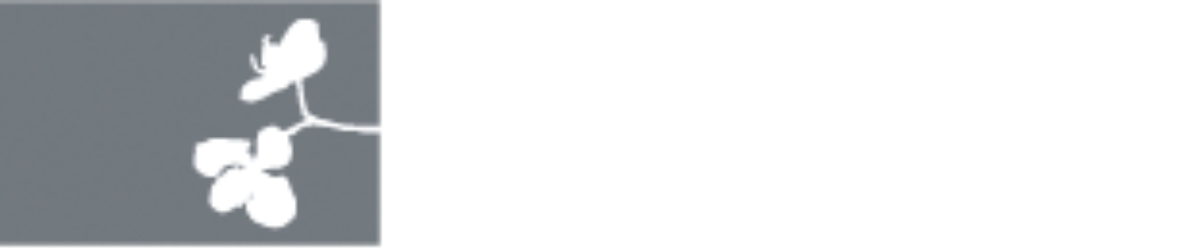 Skönhetscenter i Östersund AB logotyp