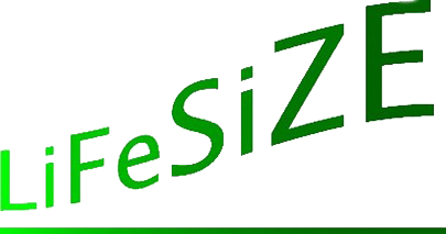 LiFeSiZE AB logotyp