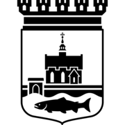 Stadsnät i Åmål AB logotyp