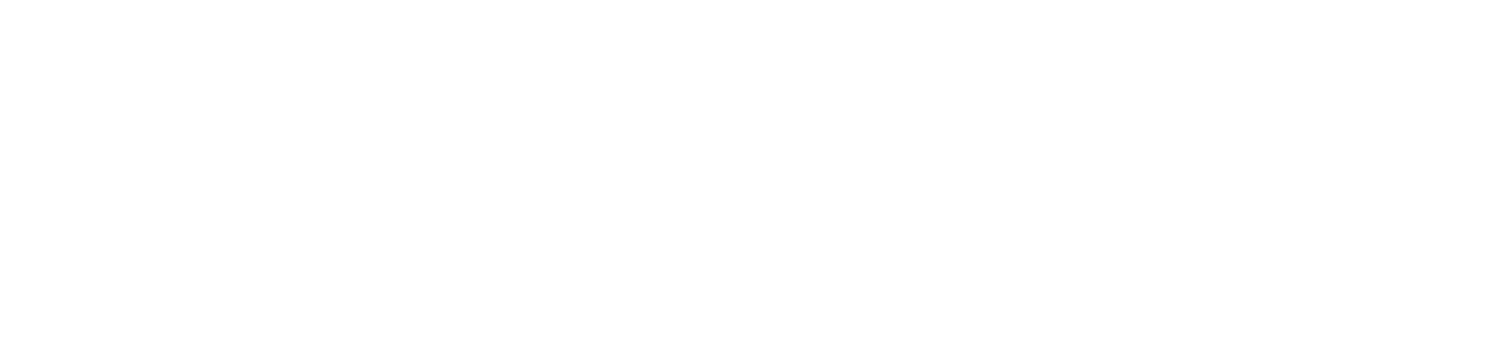 ShowPro TN AB logotyp