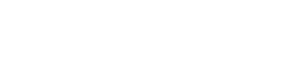 Serval IT AB logotyp