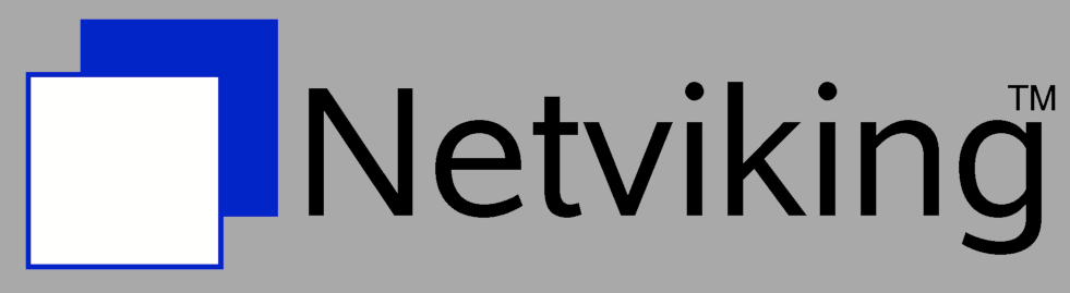 Netviking AB logotyp