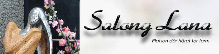 Salong Lana i Karlstad AB logotyp