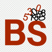 BS Redovisning AB logotyp